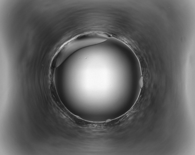 X0000087550338200704271212