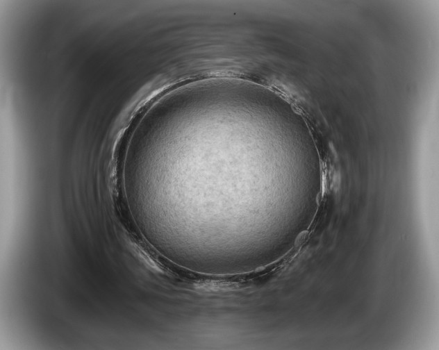 X0000087550339200704271212