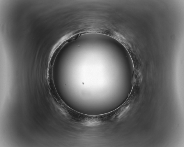 X0000087550340200704271212
