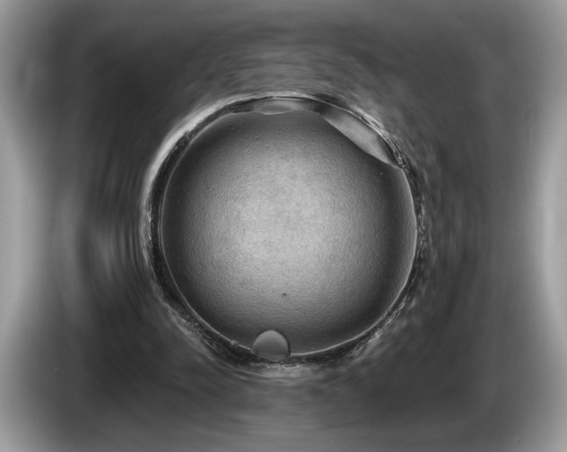 X0000087550342200704271212