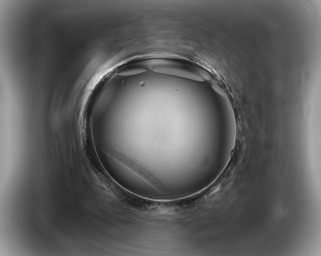 X0000087550343200704271212