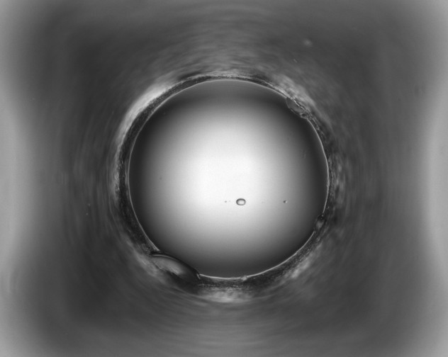 X0000087550344200704271212