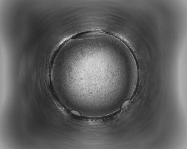 X0000087550345200704271212