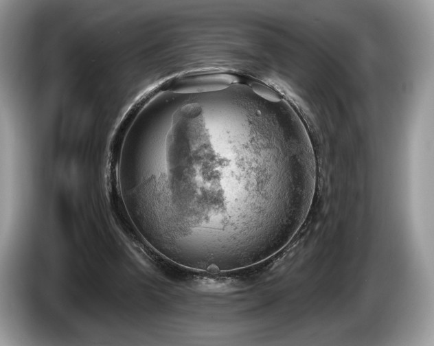 X0000087550346200704271212
