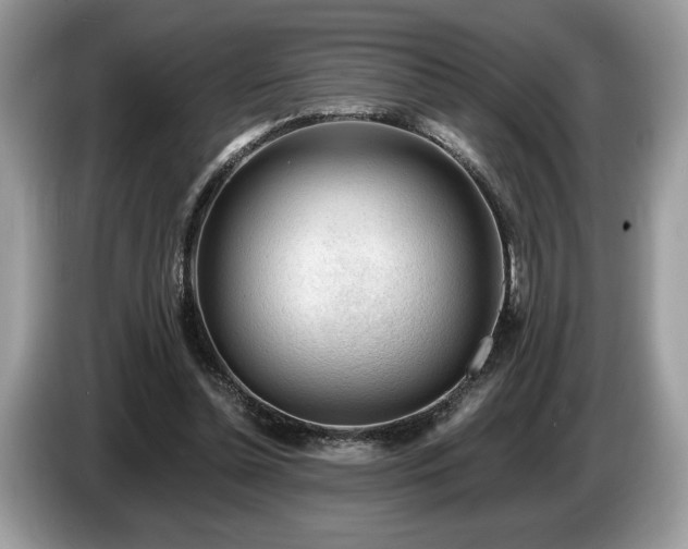 X0000087550348200704271212