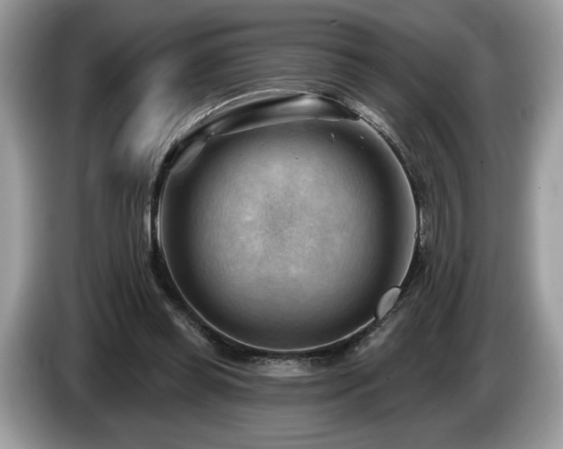 X0000087550349200704271212