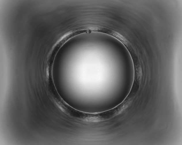 X0000087550350200704271212