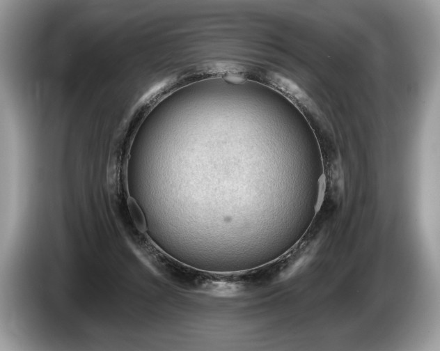 X0000087550352200704271212