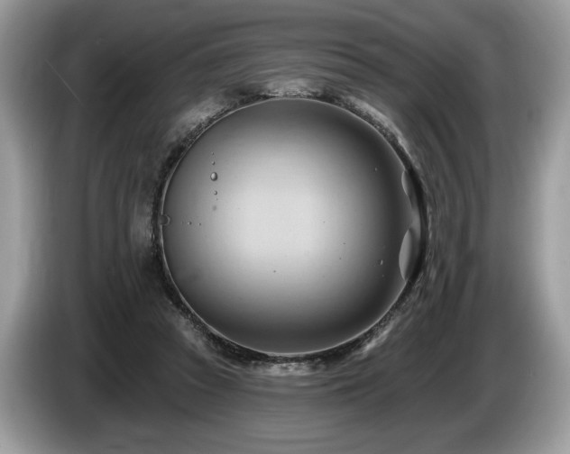 X0000087550353200704271212
