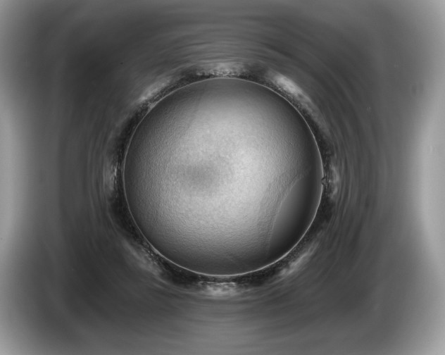 X0000087550355200704271212