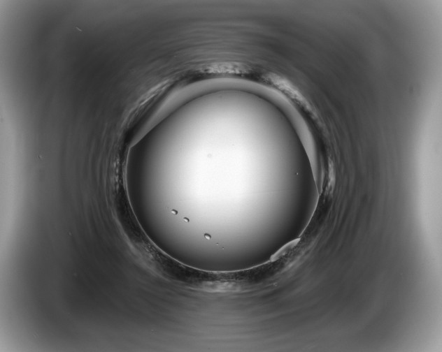 X0000087550356200704271212