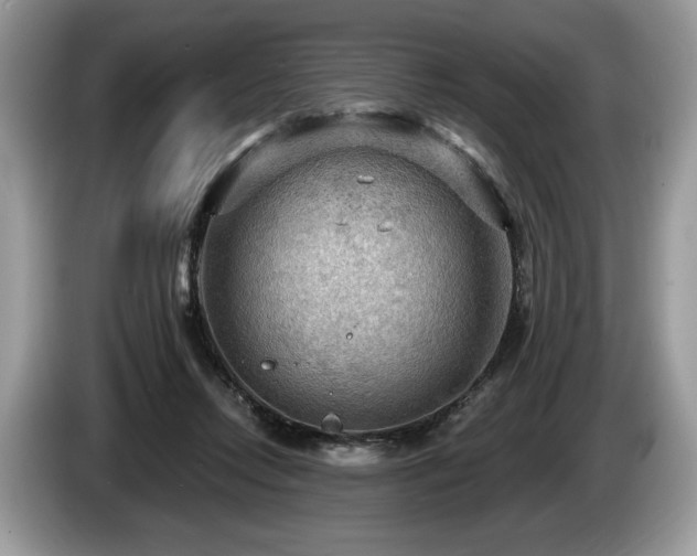 X0000087550358200704271212