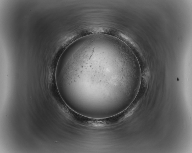 X0000087550359200704271212