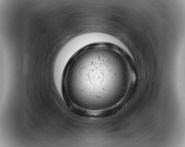 X0000087550360200704271212