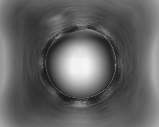 X0000087550362200704271212