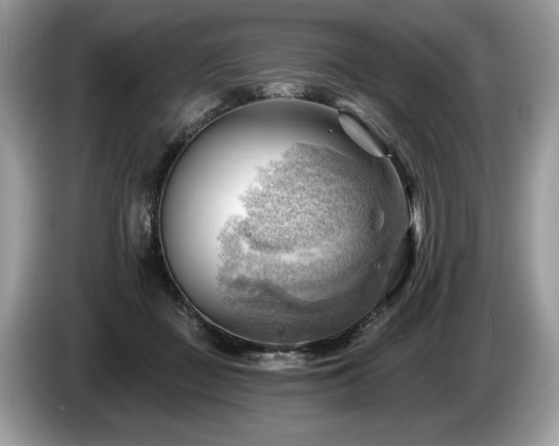 X0000087550363200704271212