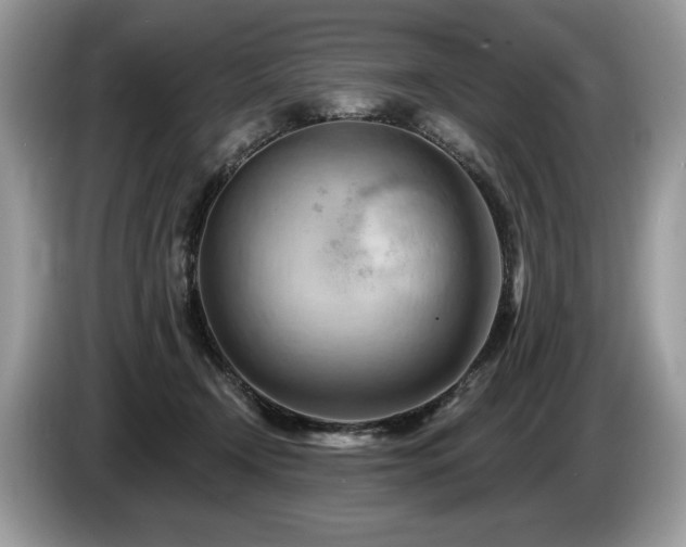 X0000087550366200704271212