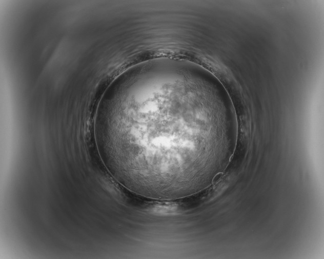 X0000087550369200704271212