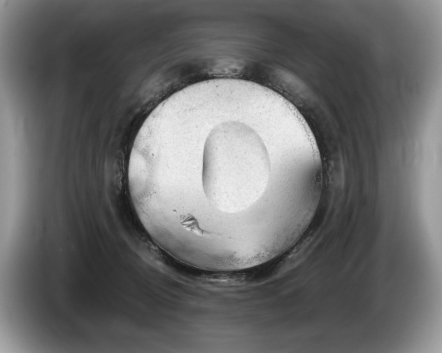 X0000087550370200704271212