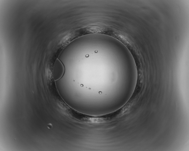 X0000087550371200704271212