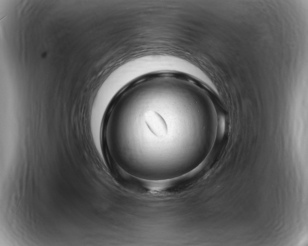 X0000087550376200704271212