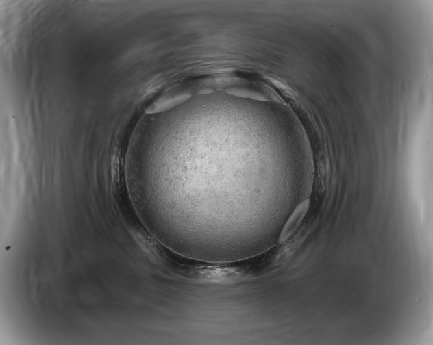 X0000087550379200704271212