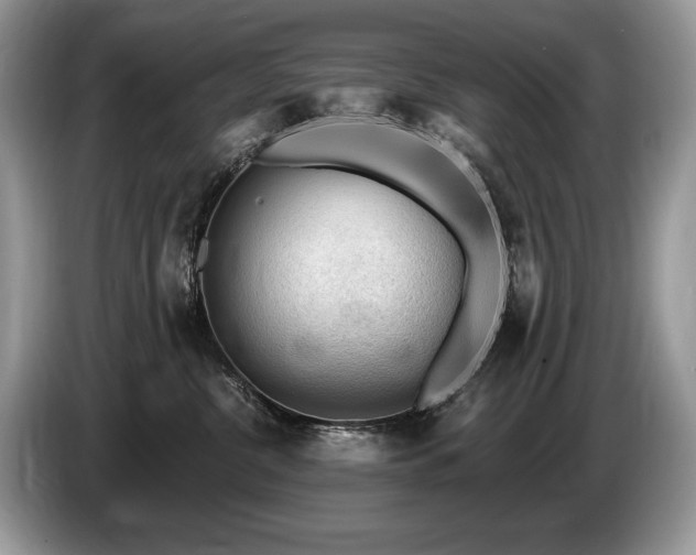 X0000087550380200704271212