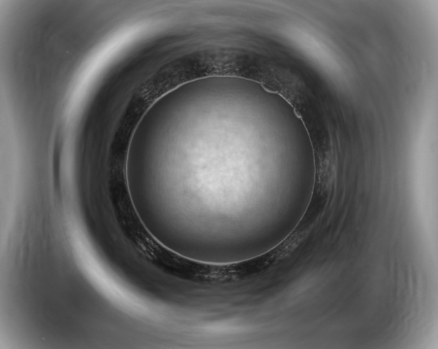 X0000087550383200704271213