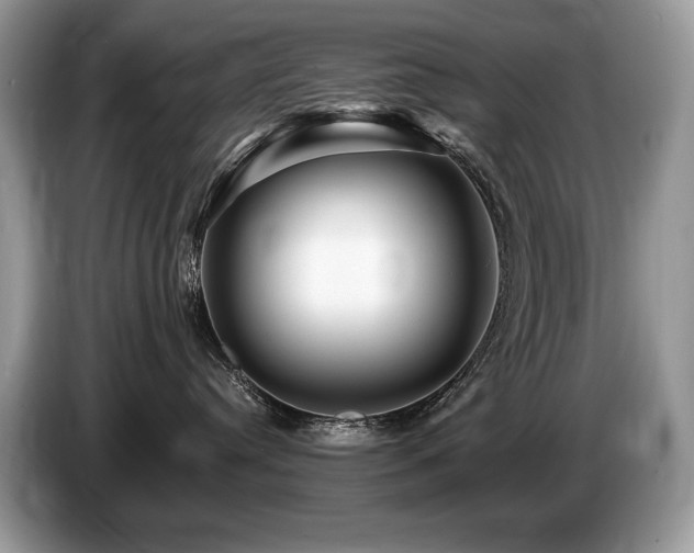 X0000087550384200704271213