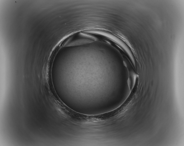 X0000087550387200704271212
