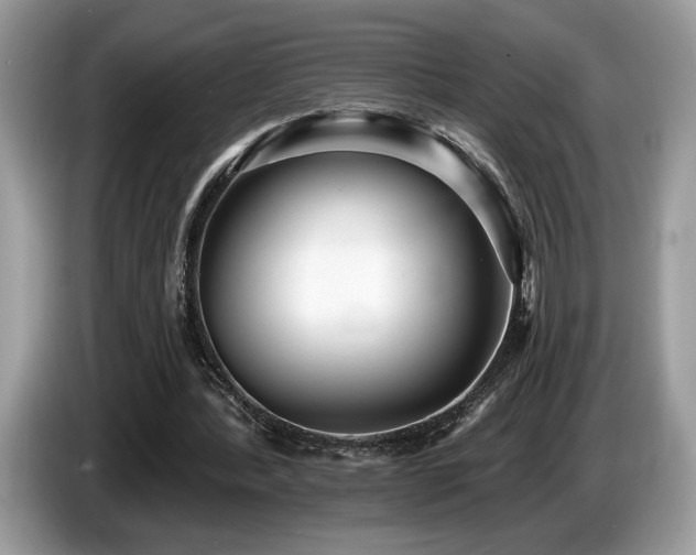 X0000087550388200704271212