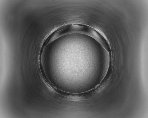 X0000087550389200704271212