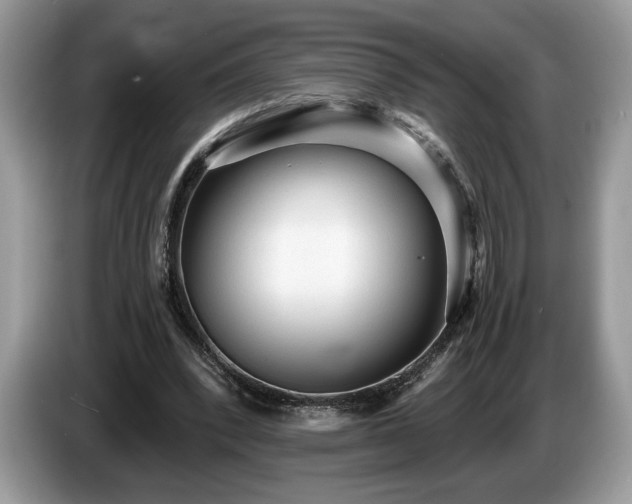 X0000087550392200704271212