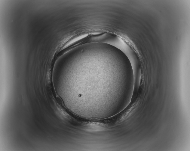 X0000087550393200704271212