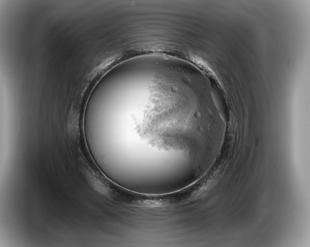 X0000087550394200704271212