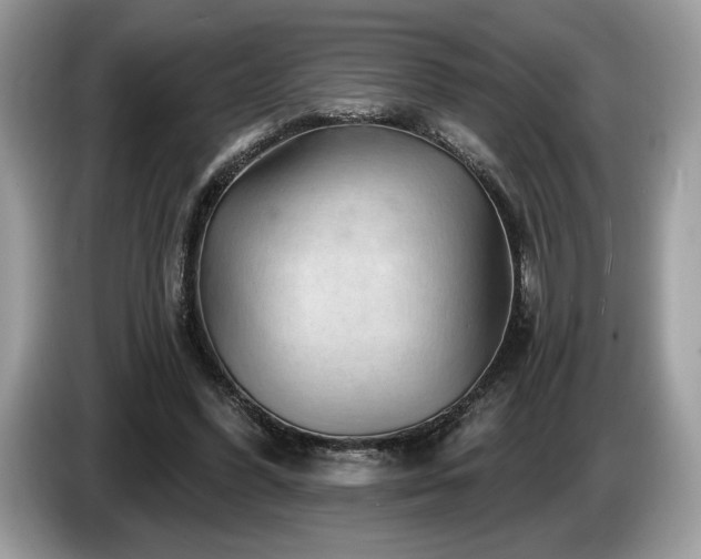 X0000087550396200704271212