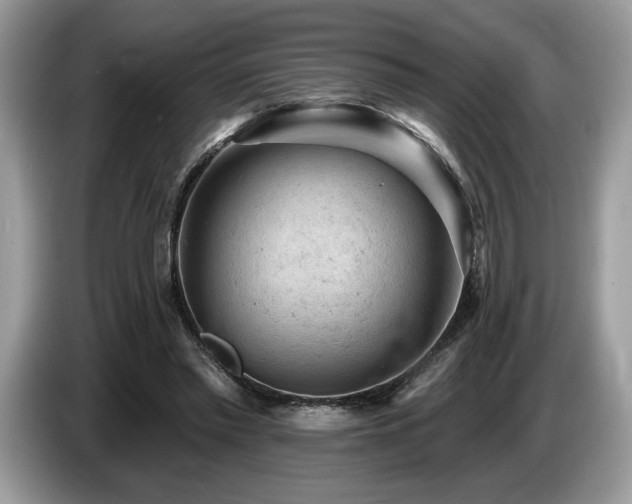 X0000087550397200704271212