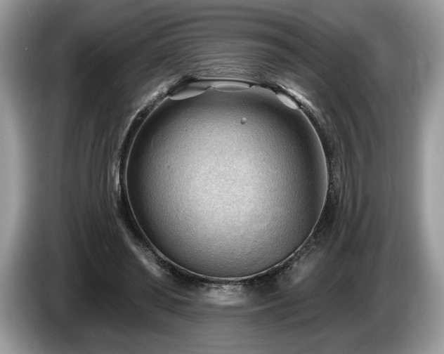 X0000087550398200704271212