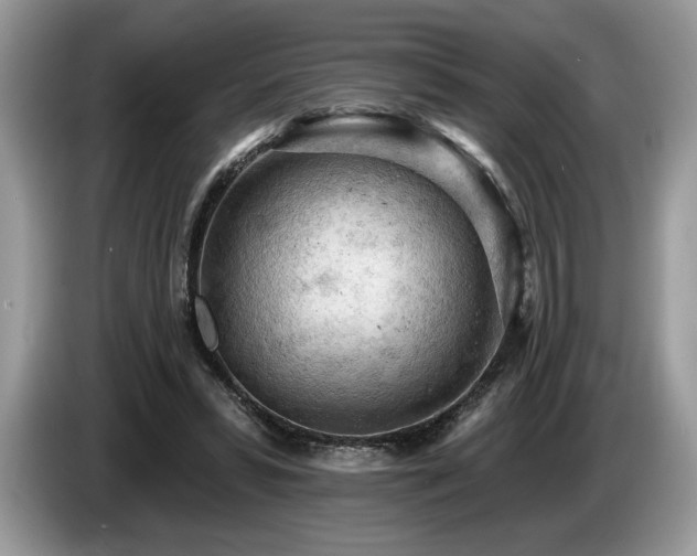X0000087550399200704271212