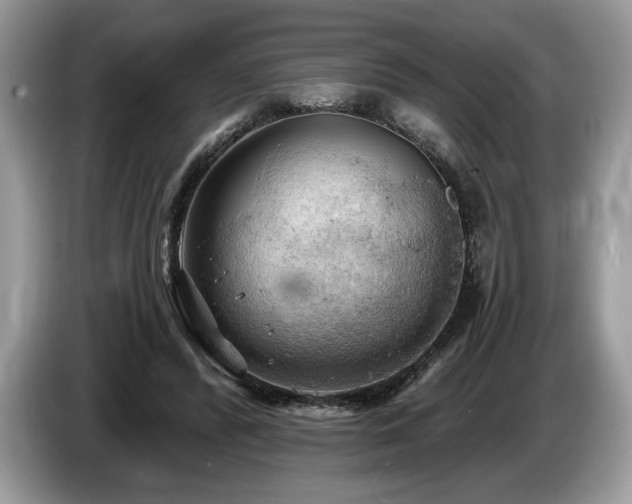 X0000087550400200704271212