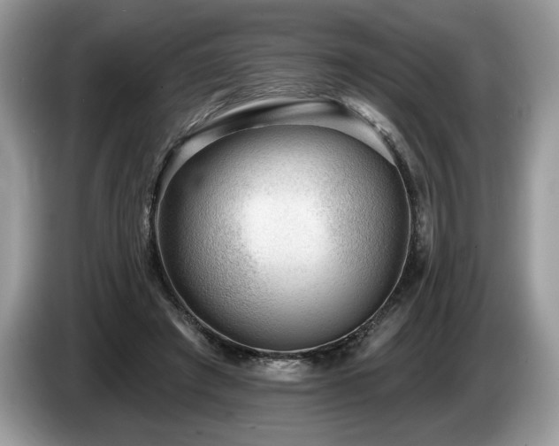 X0000087550401200704271212