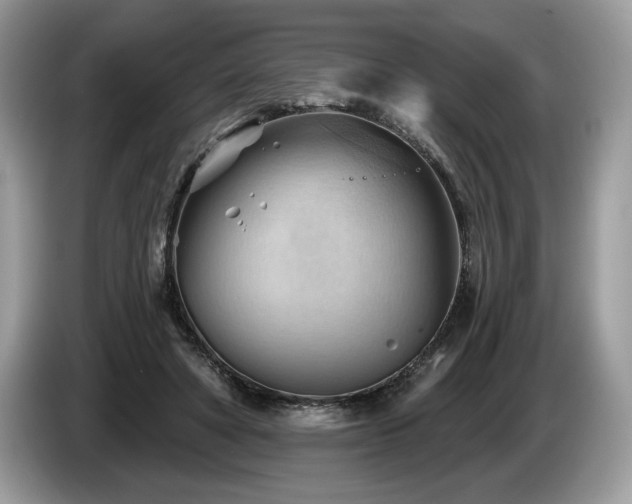X0000087550402200704271212