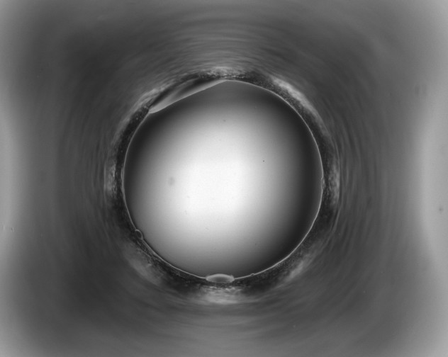 X0000087550403200704271212