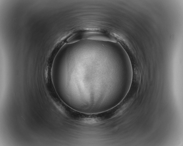 X0000087550404200704271212