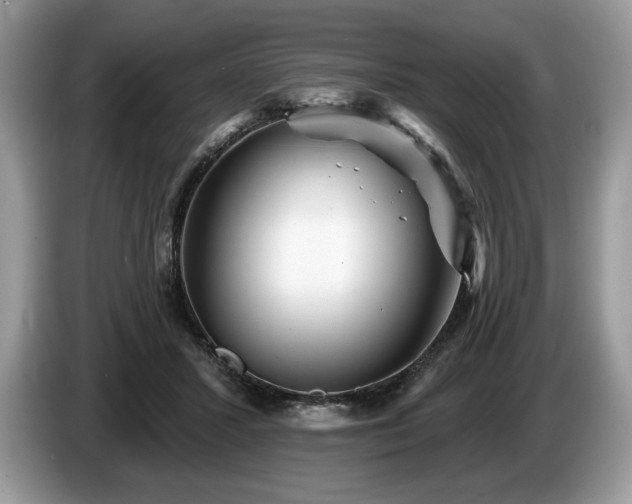 X0000087550407200704271212