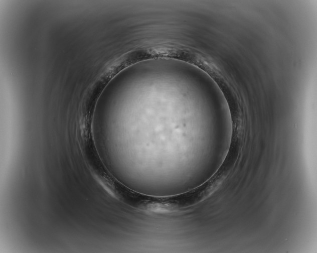 X0000087550408200704271212