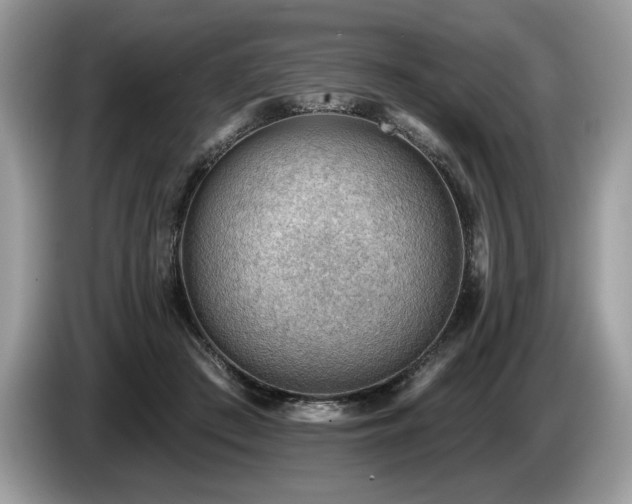X0000087550409200704271212
