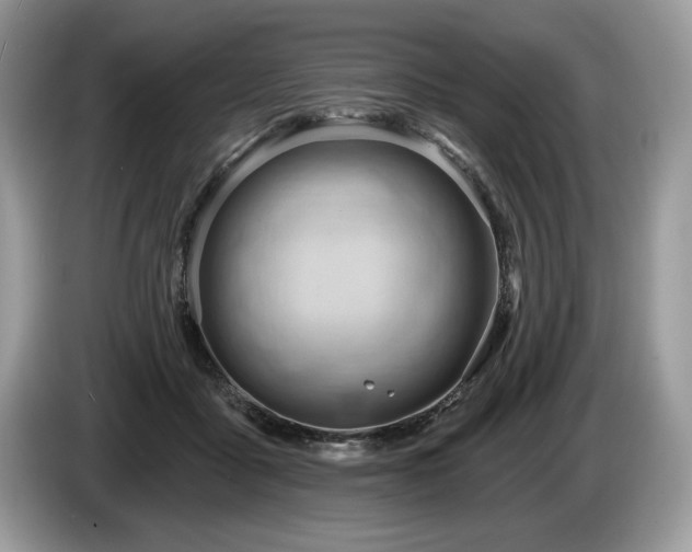 X0000087550411200704271212