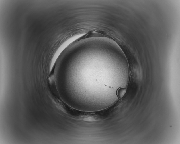X0000087550412200704271212