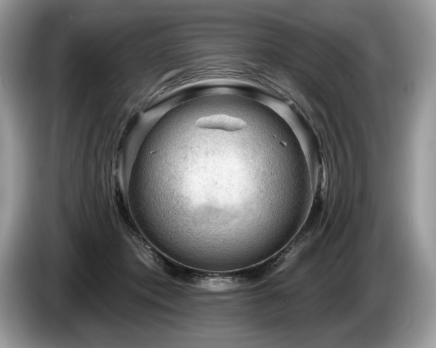 X0000087550413200704271212